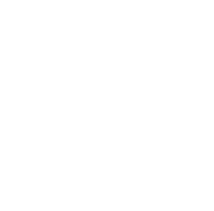 Carnegie Classification Seal for Hunter College