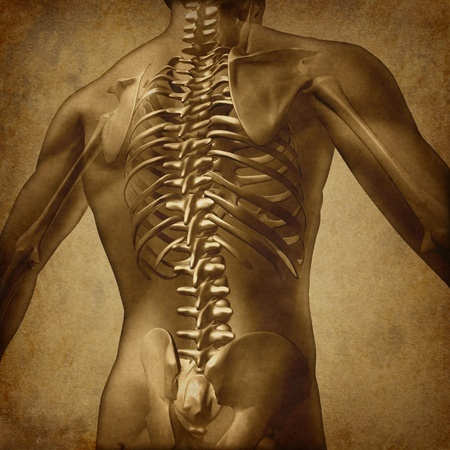 Report: Hunter's Department of Physical Therapy Enhances Reputation Through Work in Reversing Scoliosis Damage 