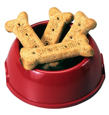 Dog dish with biscuits