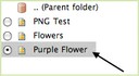 Add Image (10)