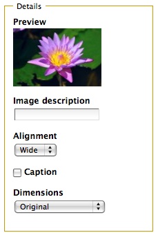 Add Image (5)