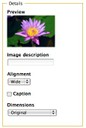 Add Image (5)