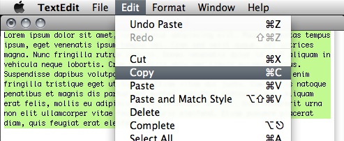 Copy From Word (7)