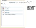 Internal Link (3)