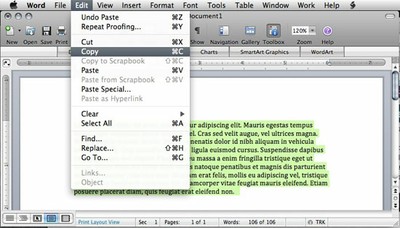 Copy From Word (2)