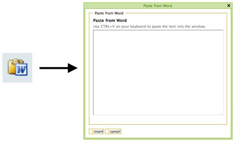 Paste From Word
