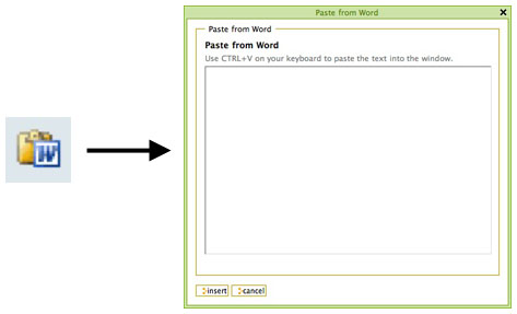 Copy From Word (1)