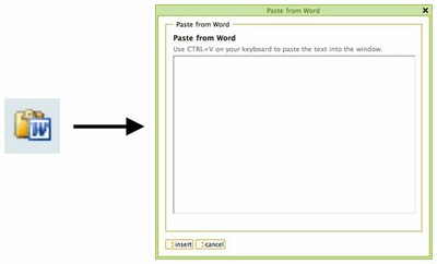 Copy From Word (1)
