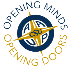 2025 CSU AAUP II