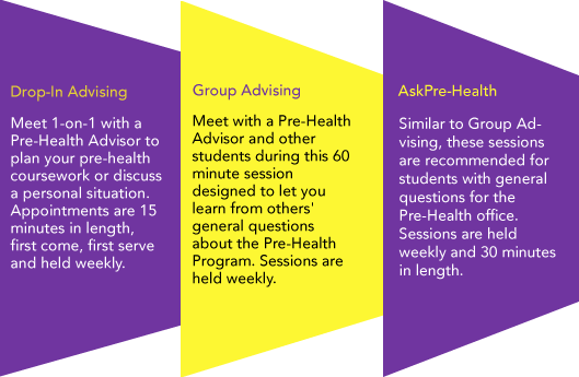 Advisement Process Wedges