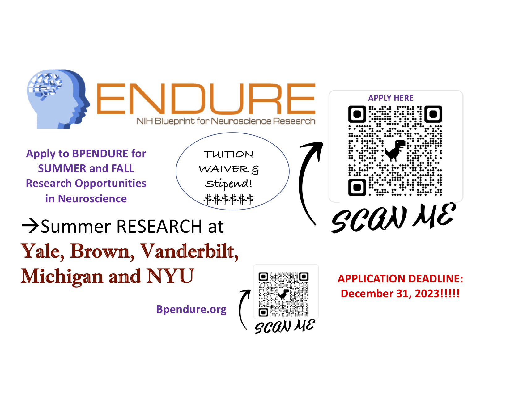 BPEndure NIH Program is Accepting New Applications!