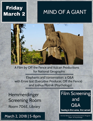Mind of a Giant: Screening