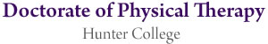 Physical Therapy Program