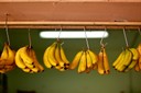 Plátanos canarios